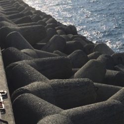 釣り納めでまさかの…