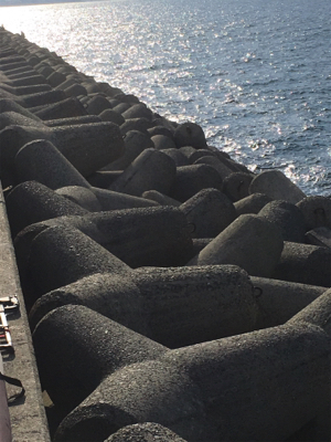 釣り納めでまさかの…