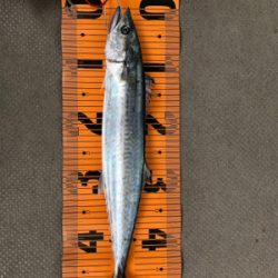 ショアジギング