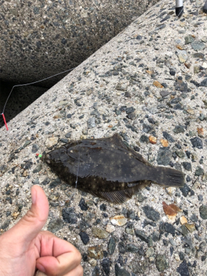 今年最後のカレイ狙い