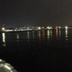 雨の中アジング