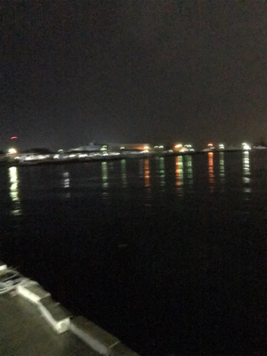 雨の中アジング