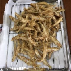 初めてのワカサギ