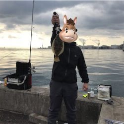 魚種限定解除！