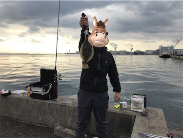 魚種限定解除！