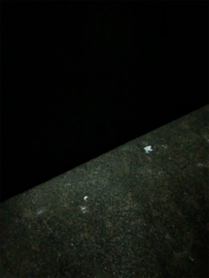 ナイトメバリング