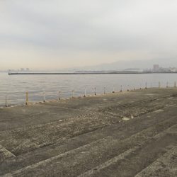 飲ませ不発、サヨリ良い感じ。