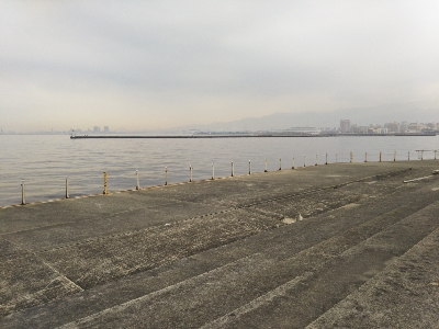 飲ませ不発、サヨリ良い感じ。