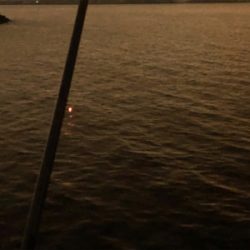 おチビのタッチ〜ʅ（◞‿◟）ʃ