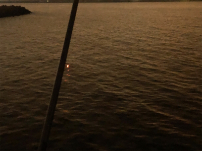 おチビのタッチ〜ʅ（◞‿◟）ʃ