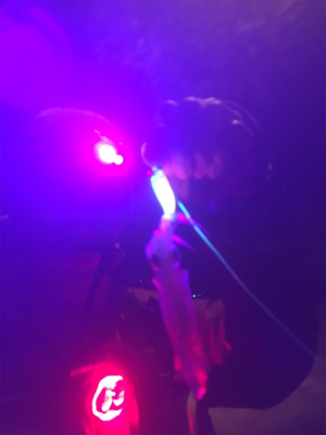 ヒイカまだまだ楽しめる☆GUNNING-STYLE