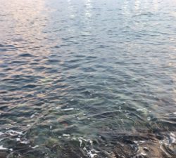 LSJigginger1600〜1715