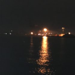 寒さも緩んで今年最期のタッチポン陸