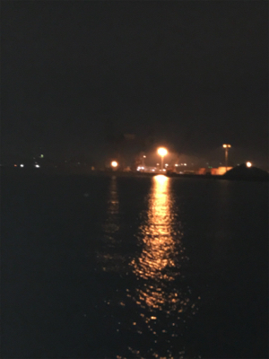 寒さも緩んで今年最期のタッチポン陸