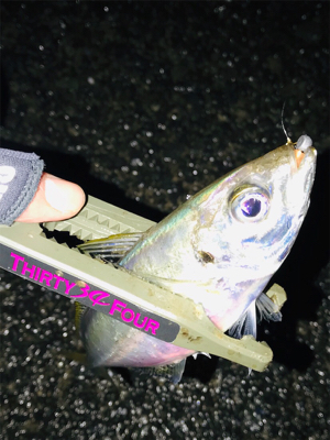 大潮なのに海面穏やか