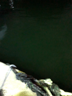 ナイトアジング