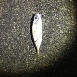 ライトゲーム日和