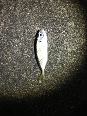 ライトゲーム日和