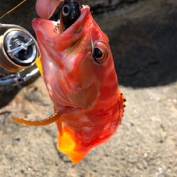 望月ハードロック