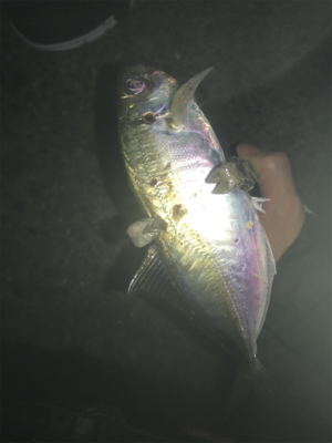 マイクロワインド