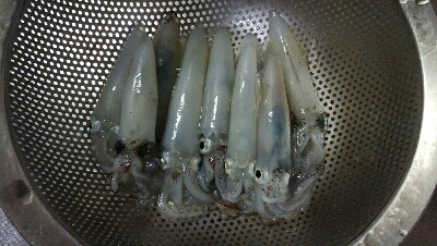 ヒイカエギング終盤