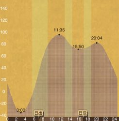 ヒイカエギング