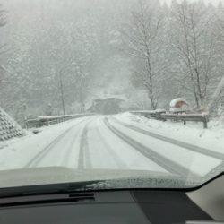 朽木渓流魚センター