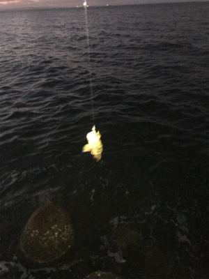 癒しのライトゲーム