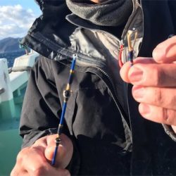 寒ブリを求めて 2