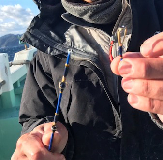 寒ブリを求めて 2