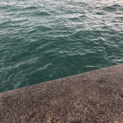 極寒のライトゲーム