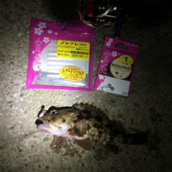 なんとか竿納まってよかった笑