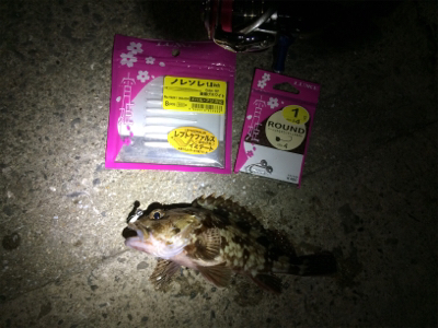 なんとか竿納まってよかった笑