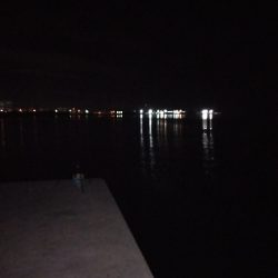 釣り納めは鯖ゲー