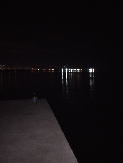 釣り納めは鯖ゲー