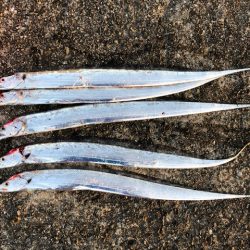 武庫一ワインド