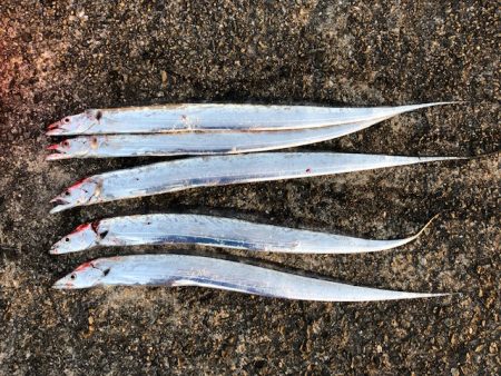 武庫一ワインド