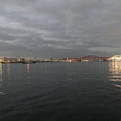 またまた明け方だけ。