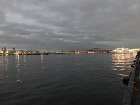 またまた明け方だけ。