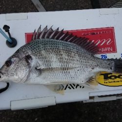 満足しました!!