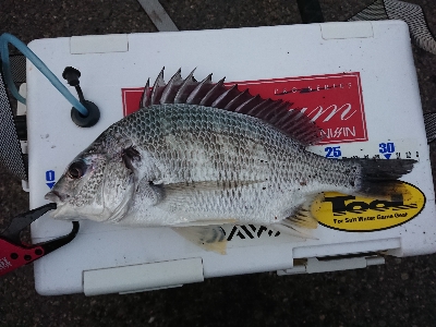 満足しました！！