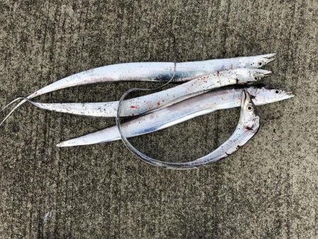 復活ぎみなの？