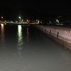 良型のカマスは一体何処に