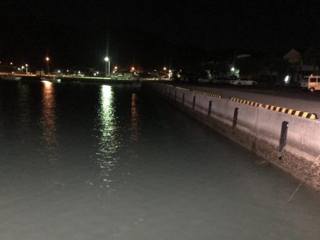 良型のカマスは一体何処に