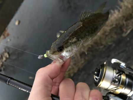 クリスマス釣りー