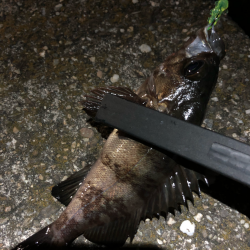 相変わらず、、、