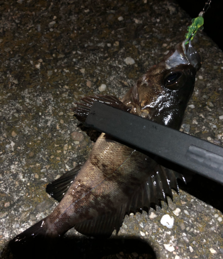 相変わらず、、、