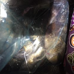 爆風メバリング