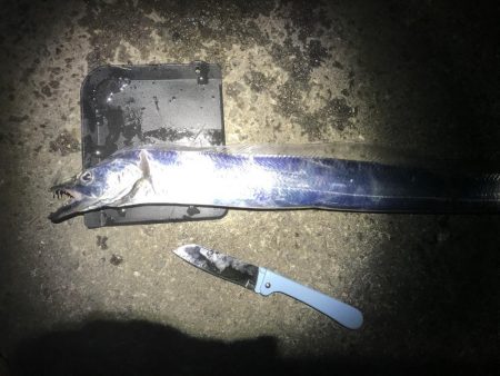 タチウオ終盤戦