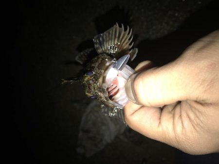 今日もライトワインド修行